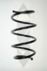 SPIDAN 56949 Coil Spring